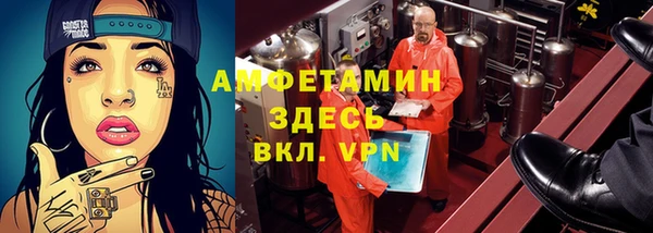 гашик Верея