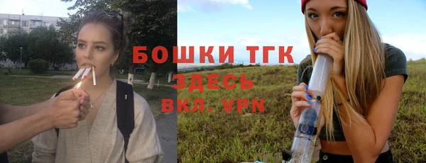 соль ск Верхний Тагил