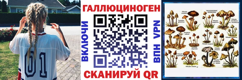Купить закладки  Очёр  Псилоцибиновые грибы Psilocybine cubensis 